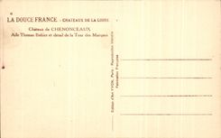 Castillo suave de CPA Francia Loire ch4ateau del ala Thomas Bohier de Chenonceaux y del detalle de la torre de las marcas