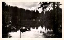 CPA LeFayet Le Lac Vert et le Mont Blanc