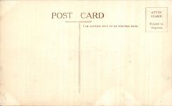 CPA The Albert Memorial America Bull