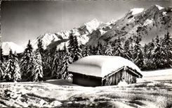 CPSM Neige Et Soleil Chalet 