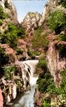 CPA Amelie Les Bains Gorges du Mondony et Cascade