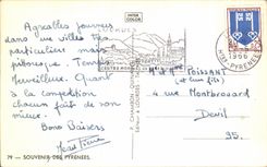 CPA Souvenir Of the Pyrenees Lourdes