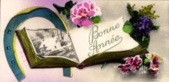 CPA Fantaisie Bonne Annee livre