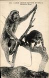 CPA Paris Museum of Natural history Macaque and Nest egg Monkey