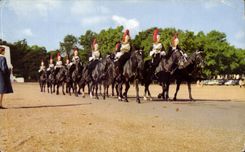 CPA Queen' S Life Guard London Militaria Horse