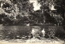 CPA Enghien Les Bains Edges of the Lake Swans