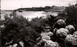 CPA Biarritz Les Hortensias et vue sur le Phare