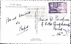 CPA Biarritz Les Hortensias et vue sur le Phare