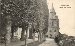 CPA La Falaise L'Allee des Tilleuls
