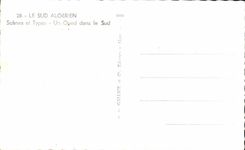 Sur argelino de CPA un lecho de un rio seco en el camello del sur