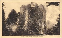 CPA Mont Sainte Odile Chateau de Birkenfels