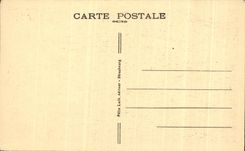CPA Mont Sainte Odile Chateau de Birkenfels