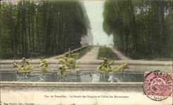 CPA Parc de Versailles Le Bassin des Dragons et l'Allee des Marmousets