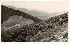 CPA the Collar of Aspin