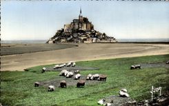 CPA Le Mont Saint Michel Les Moutons 