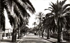 CPA Hyeres L'Avenue Godillot