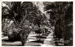 CPA Beaulieu sur mer Jardins 