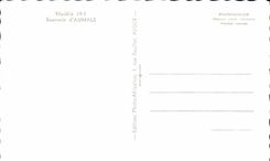 CPA Souvenir D' Aumale