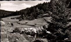CPA Mountain Of Aigoual Pasture In the Peaceful Valley Of Trevezel On Route De Meyruels