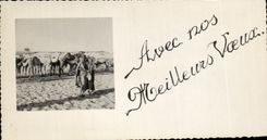 CPA con nuestros camellos de recuerdos