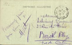 CPA Lourdes La basilique Vue de et le Pic Du Jer 