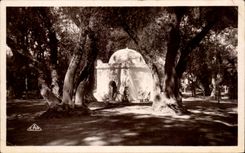 CPA Blida Marabout au Boi Sacre Algerie