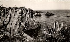 CPA La Corniche D'or Les Rochers Rouges