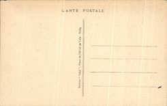 CPA Vichy Allee Central of the Park of the Casino