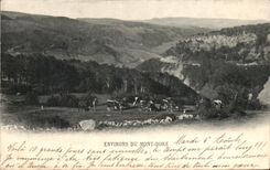 CPA Environs of the Mount Gilds Cows