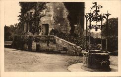 Castillo suave de CPA Francia Loire ch4ateau de Chenonceaux el pozo viejo
