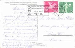 CPA Grindelwald Bachsee Am Faulhorn Suisse Vaches