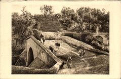 CPA Morocco Portuguese Bridge Transatlantic General Company