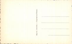 CPSM Fantasy Happy New Year