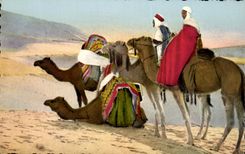 Escenas estandar de CPA de la africa del Norte hacia el camello del sur