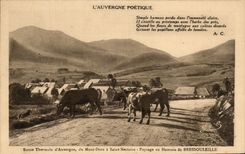 CPA Hamlet of Bressouleille Auvergne Cows