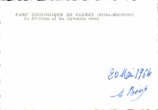 CPSM Park Zologique De Cleres the Castle And the Flamingos Roses Zoo