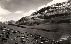 CPA Alpe d' Huez the Large Russet-red ones