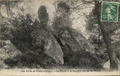 CPA Foret De Fontainebleau Le Riquet A La Houpe Gorge du Houx 