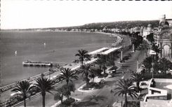 Opinion de CPSM Niza sobre la caminata del ingles