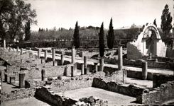 CPA Vaison the Roman the House Of Butt Out of Money