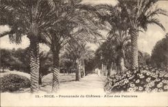 Caminata de CPA Niza de la cerveza inglesa del castillo de las palmeras