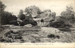 CPA Fontainebleau La Foret Le Sphinx des Druides