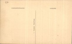 CPA Le Chateau De Plessie Les Tours 