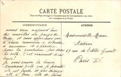 CPA Vichy Le Parc Une Allee Couverte