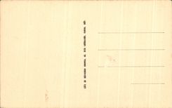 CPA Lisieux the Cathedral St Pierre