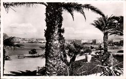 CPA Cannes Seen from Of the New Gardens Of the Small cross