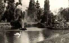 CPSM Vichy the Park Swans