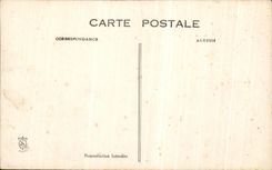 CPA Buissonnets Of the Lisieux Terrace