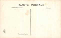 CPA the streets pavoisees Lisieux the illumination of Main street at the evening September 30th 1925