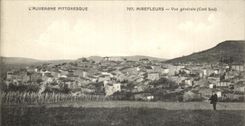 CPA Picturesque Auvergne Mirefleurs View